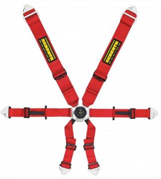 Schroth - Profi II-6 Porsche 996 GT3 6 point FIA harness